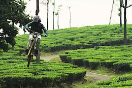 Video: Fancy a Cuppa Tea? Mercedes Does MTB in India