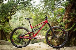 Polygon Bikes Partners With BikesOnline For North American Distribution