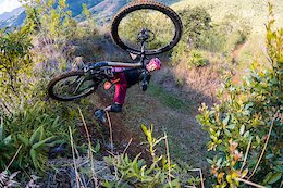 Kirt Voreis rides his Niner RIP 9 RDO mountain bike in the Blue Mountains of Jamaica.