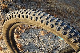 Review: Schwalbe Hans Dampf II Tire
