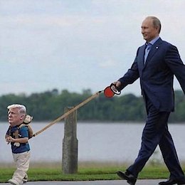Putin walks his dog