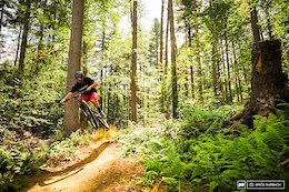 Vermont's 5 Most Popular Trail Networks According to Trailforks Data