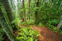 Kirt Voreis sinks it deep on his mountain bike at Galbraith Mountain near Bellingham, Washington.