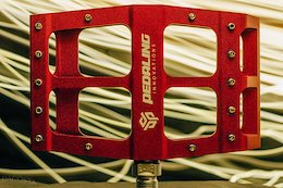 Catalyst Pedals Ready for EU Distribution with New UK Partners