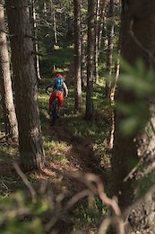 Nice &amp; flowy upper section in a thick spruce forest. Loamy epicness! 
Foto: Nac Zavrl