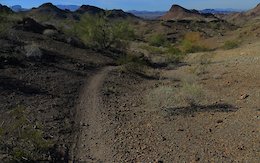 Mountain Biker, 75, Continues Riding For 30 Minutes After Rattlesnake Bite