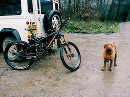 just finished a ride and thought i'd get a picture of my fully custom trek slash and my dog.