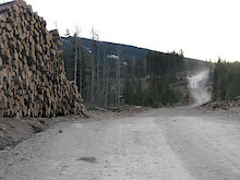 Kananaskis logging threatens bike trails!
