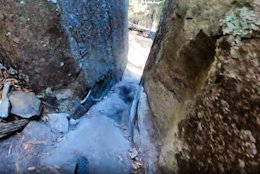 POV Video: EWS Tasmania Practice with Wild Man Keegan Wright