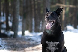 Video: Celebrating a Special Connection in 'A Rider's Best Friend'