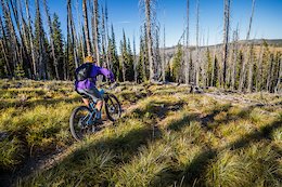 Exploring the Mountaintop Trails of Idaho &amp; Montana