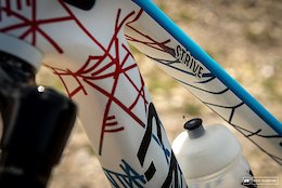 Florian Nicolai's Canyon Strive - Red white and blue for France