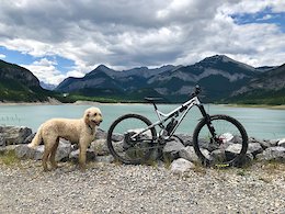 Commencal Meta 29
Essential Brushed Fox
After ride parked in front of Barrier Lake, AB
