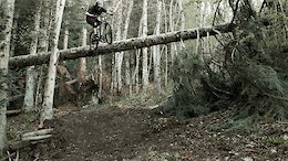 Tree ride to drop.
As seen in 'Here We Go'