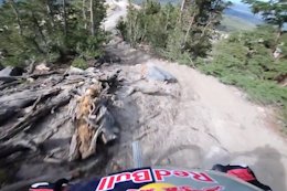 Video: Aaron Gwin POV Preview of Mammoth's New DH Trail 'Velociraptor'