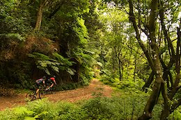 Details Announced for Madeira Bike Race 2020