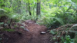 Trail work