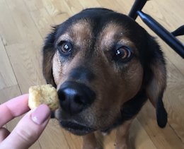 Lil guy loves croutons. Accidentally uploaded this.