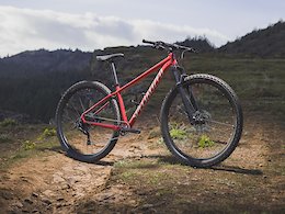 Specialized's Entry Level Rockhopper Hardtail Gets an Update for 2021