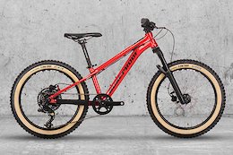 Nukeproof Updates Cub-Scout Range with In-House 'Urchin' Components for 2021