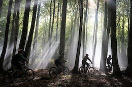 Eremua, redefining flow between huge beech and oak groves trees