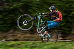 Video: Sharing a Moment on the Trails in 'Dance in the Woods'