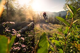 Local Flavours: The Complete Guide to Riding in Fernie, British Columbia