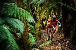 Video: Course Previews for the 2021 Australian DH &amp; XC National Championships