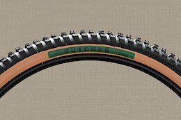 Specialized Introduces Tan-Walled ‘Soil Searching’ Tires to Benefit Trails - Pond Beaver 2021
