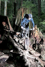 Where have all the trails gone? The Future of Fromme - Council Meeting on July 7th