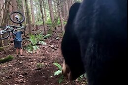 Video: Mountain Biker Captures Bear Encounter While Self Filming