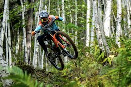 Photo Epic: Deep Woods - Remi Thirion Versus the Forest