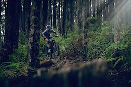 Warburton Mountain Bike Trail Network Needs Your Support - Deadline to Vote is Today