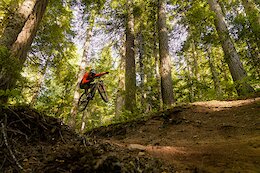 Whistler Mountain Bike Park Closes Creekside to Prepare for Big Plans Ahead