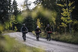 The Story Behind ‘Usufruct’ - A Film About Bikes, Beetles, &amp; Climate Change