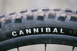Review: Specialized's New Cannibal Tire is DH Race Ready