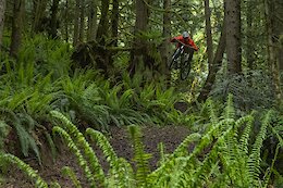 Local Flavours: The Complete Guide to Riding Port Angeles, Washington