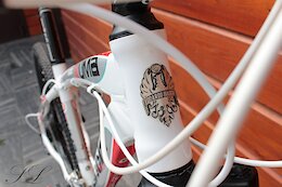 Bianchi-Kuma-5100 Photo Album - Pinkbike