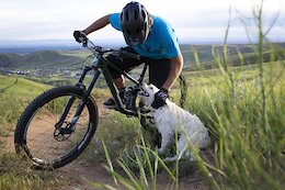 Video: The Making of a Trail Dog with Stevie Sticks &amp; Andrew Taylor