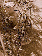 Two bikes:
BMX - mine, HM MTB - Art (http://artridersierpc.pinkbike.com/)