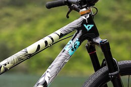 YT Shows Off Erik Fedko's Custom Dirt Jump Bike for Crankworx Rotorua