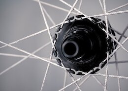 Berd Bring Their String Spoke Technology to New Hubs