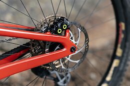 Magura Releases MT5 PRO Special Edition