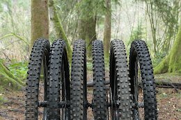 Review: 6 of the Best Gravity-Oriented Mud Tires