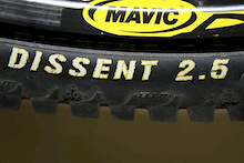 WTB Dissent Tires - 2.5", Team DH Casing.
