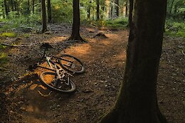 Share Your Thoughts on Nature &amp; Environmental Action in the UK Mountain Biking Community