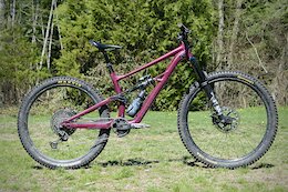 Revisited: The Specialized Status 140 After One Year With a Guest Editor