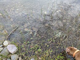 report photo