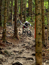 dh track semmering 2008