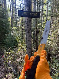 report photo